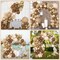 Amandir 153pcs Brown Balloon Garland Arch Kit, Different Sizes 18 12 10 5 inch Brown Nude Latex Metallic Confetti Gold Balloons for Neutral Bear Baby Shower Safari Birthday Party Decorations Supplies